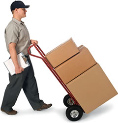 Blyegz  gyors szlltssal